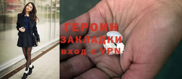 ГАЛЛЮЦИНОГЕННЫЕ ГРИБЫ Богданович